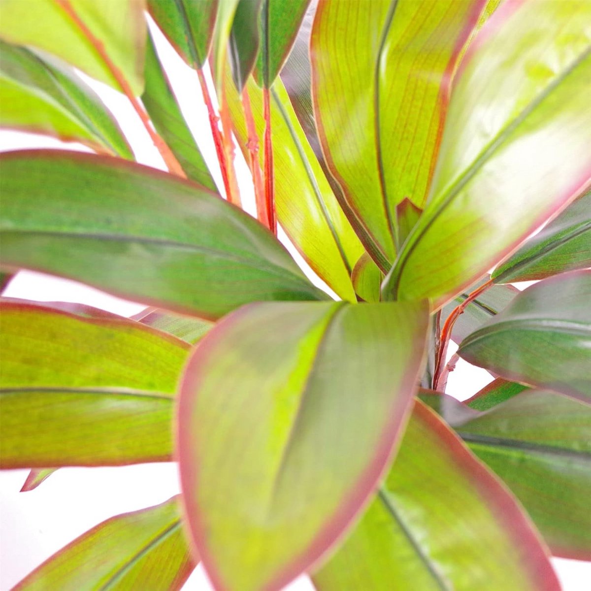Grote Kunstpalmplant Tropisch Dracaena 100cm Realistisch