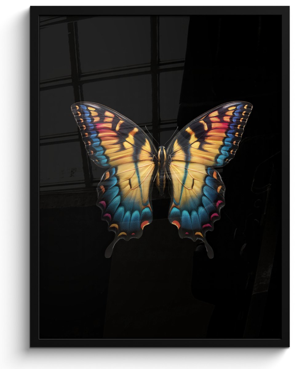 FrameYourWall Poster in lijst - Fotolijst 50x70 cm - Posters - Vlinder - Kleurrijk - Speels - Posterlijst zwart - Decoratie - Wanddecoratie woonkamer - Muurdecoratie slaapkamer Kleurrijk - Vlinder