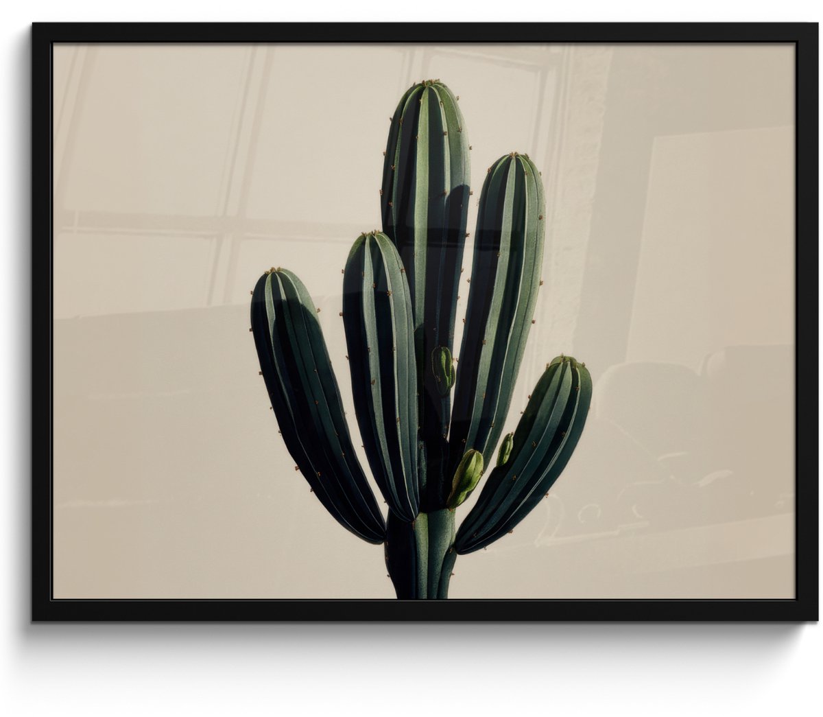 FrameYourWall Poster in lijst - Fotolijst 70x50 cm - Posters - Cactus - Subtiel - Groen - Posterlijst zwart - Decoratie - Wanddecoratie woonkamer - Muurdecoratie slaapkamer