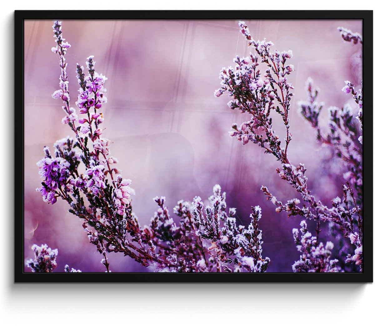 FrameYourWall Poster in lijst - Fotolijst 70x50 cm - Posters - Lavendel - Winter - Bloemen - Paars - Posterlijst zwart - Decoratie - Wanddecoratie woonkamer - Muurdecoratie slaapkamer