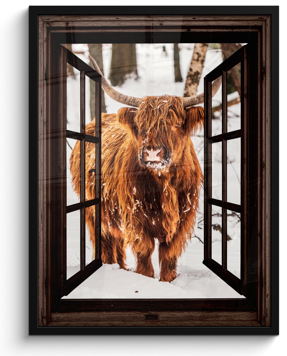 FrameYourWall Poster in lijst - Fotolijst 50x70 cm - Posters - Schotse Hooglander - Sneeuw - Natuur - Dieren - Doorkijk - Winter - Posterlijst zwart - Decoratie - Wanddecoratie woonkamer - Muurdecoratie slaapkamer