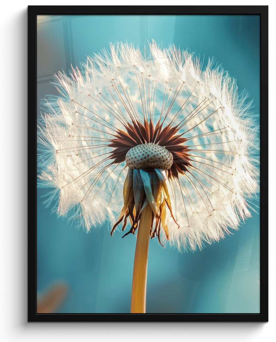 FrameYourWall Poster in lijst - Fotolijst 50x70 cm - Posters - Paardenbloem - Natuur - Bloemen - Blauw - Posterlijst zwart - Decoratie - Wanddecoratie woonkamer - Muurdecoratie slaapkamer