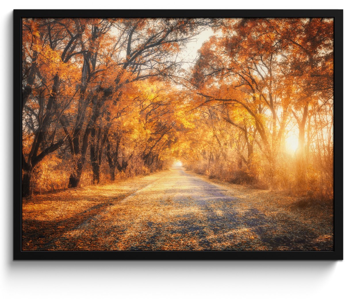 FrameYourWall Poster in lijst - Fotolijst 70x50 cm - Posters - Bos - Herfst - Bomen - Bospad - Natuur - Posterlijst zwart - Decoratie - Wanddecoratie woonkamer - Muurdecoratie slaapkamer Oranje