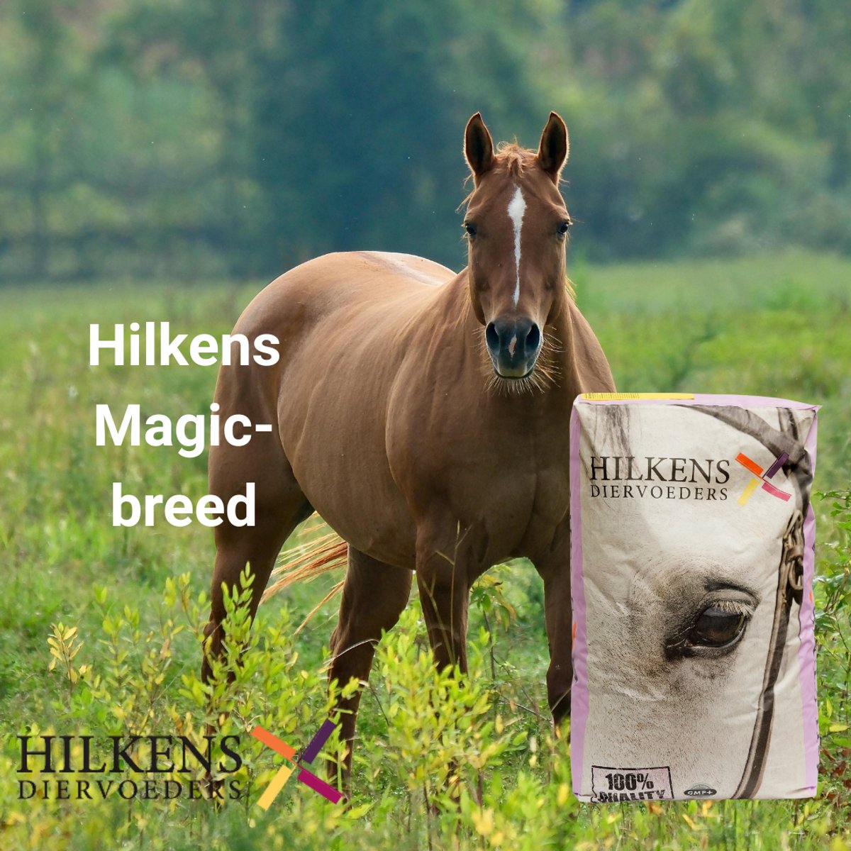 Magic-breed