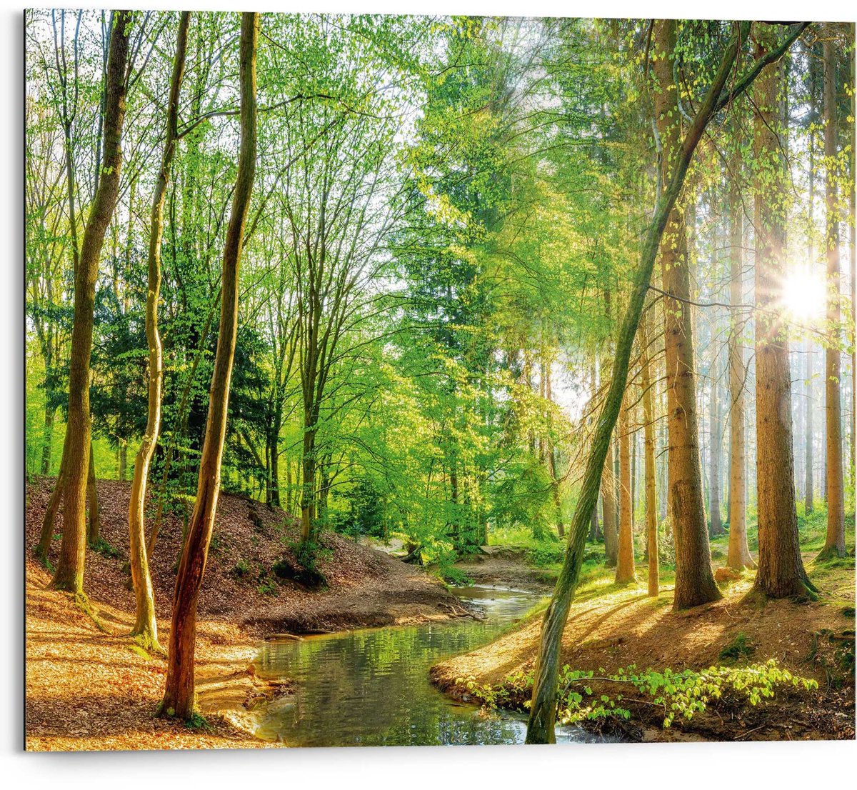 Reinders Schilderij Lentebos - 40 x 50 - Hout - REINDERS