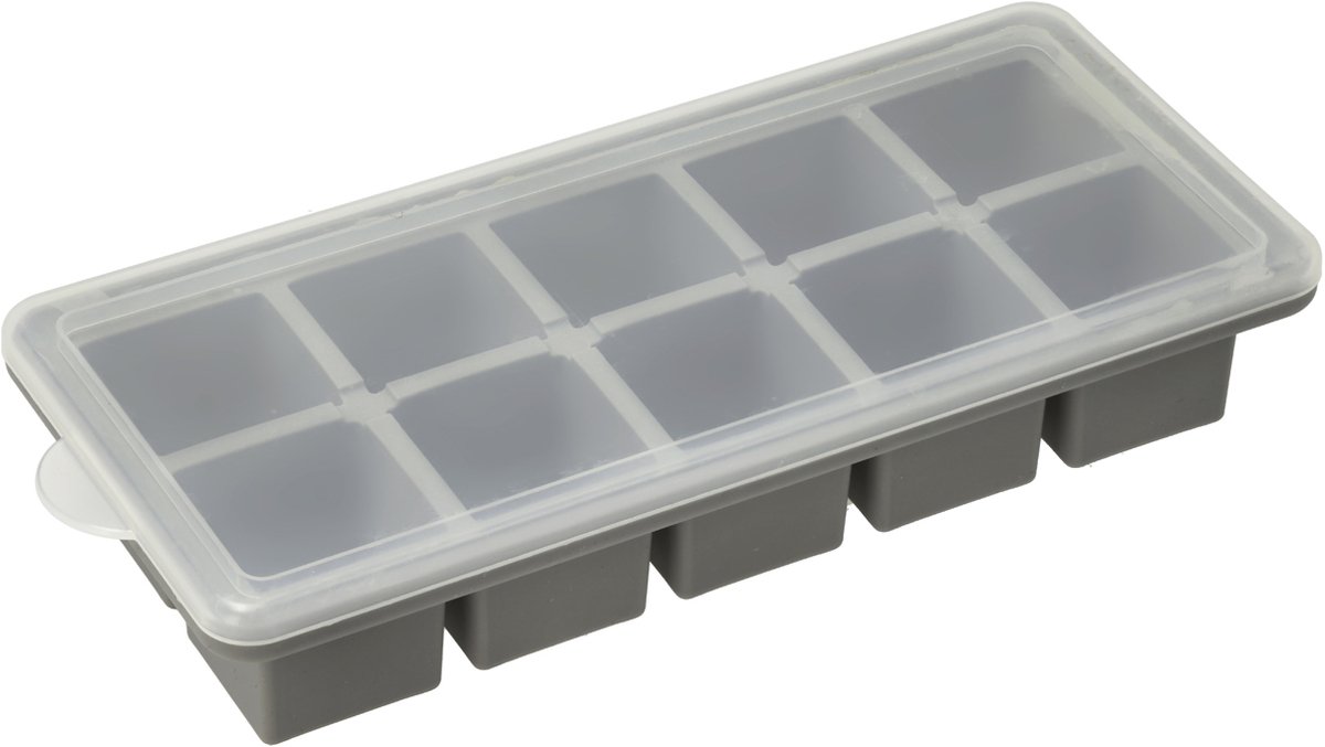 Funktion IJstray met deksel 21,9 x 9,9 x 4,3 cm Grijs