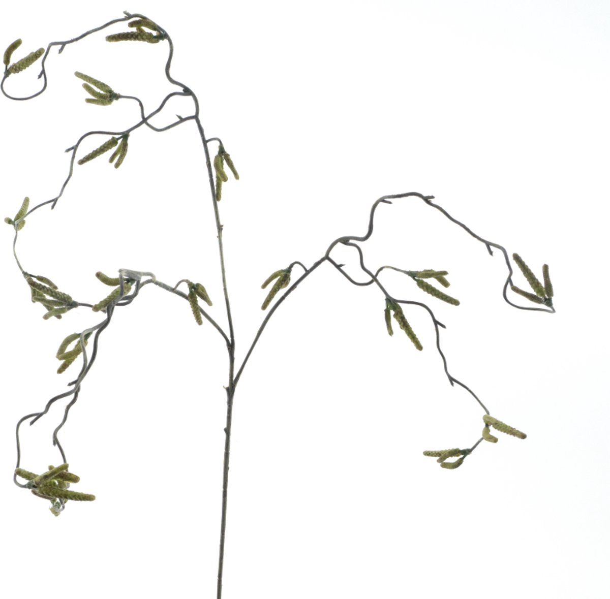 Erutan avon - Corylus flower spray green 68 cm kunstbloem