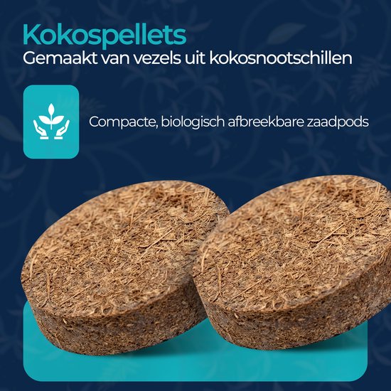 Twee ronde, bruine kokosvezelpellets met een ruwe textuur, gemaakt van kokosnootschalen.