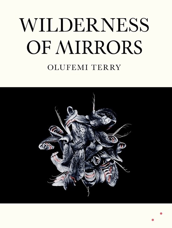 Wilderness of Mirrors - cover