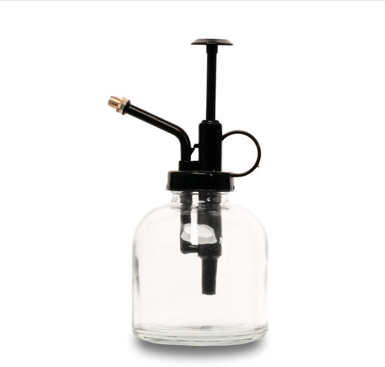 Plant mister - Plantenvernevelaar - Glazen plantenspuit - Helder glas - ↑ 16 cm