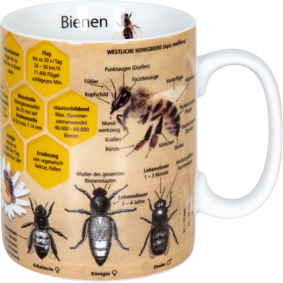 Könitz kennismok bijenmok, koffiemok, theemok, beker, porselein, 360 ml, 11 1 330 2445