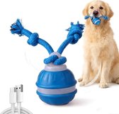 Slow feeder-kom voor honden - verlicht de spijsvertering