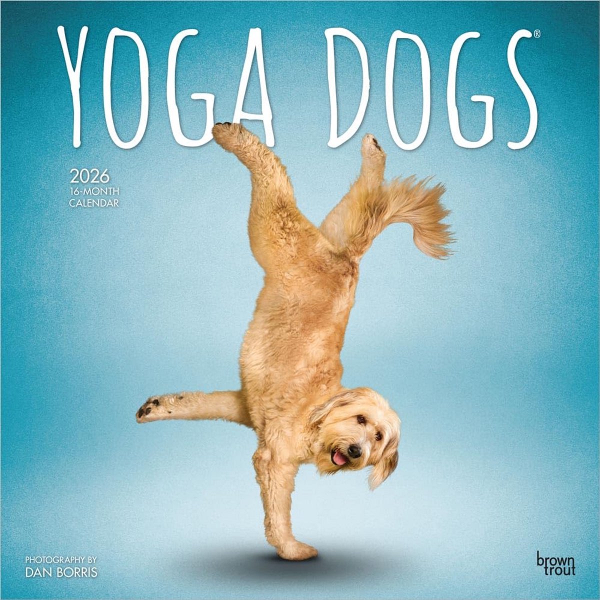 Honden Yoga Kalender 2026 - 16 Maanden Dierfotografie Kalender