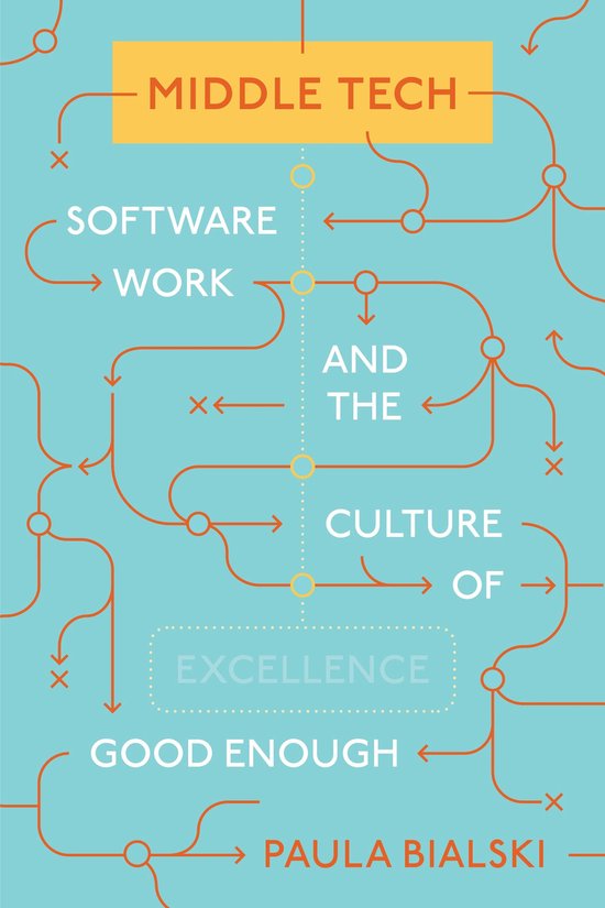 Princeton Studies in Culture and Technology- Middle Tech - cover