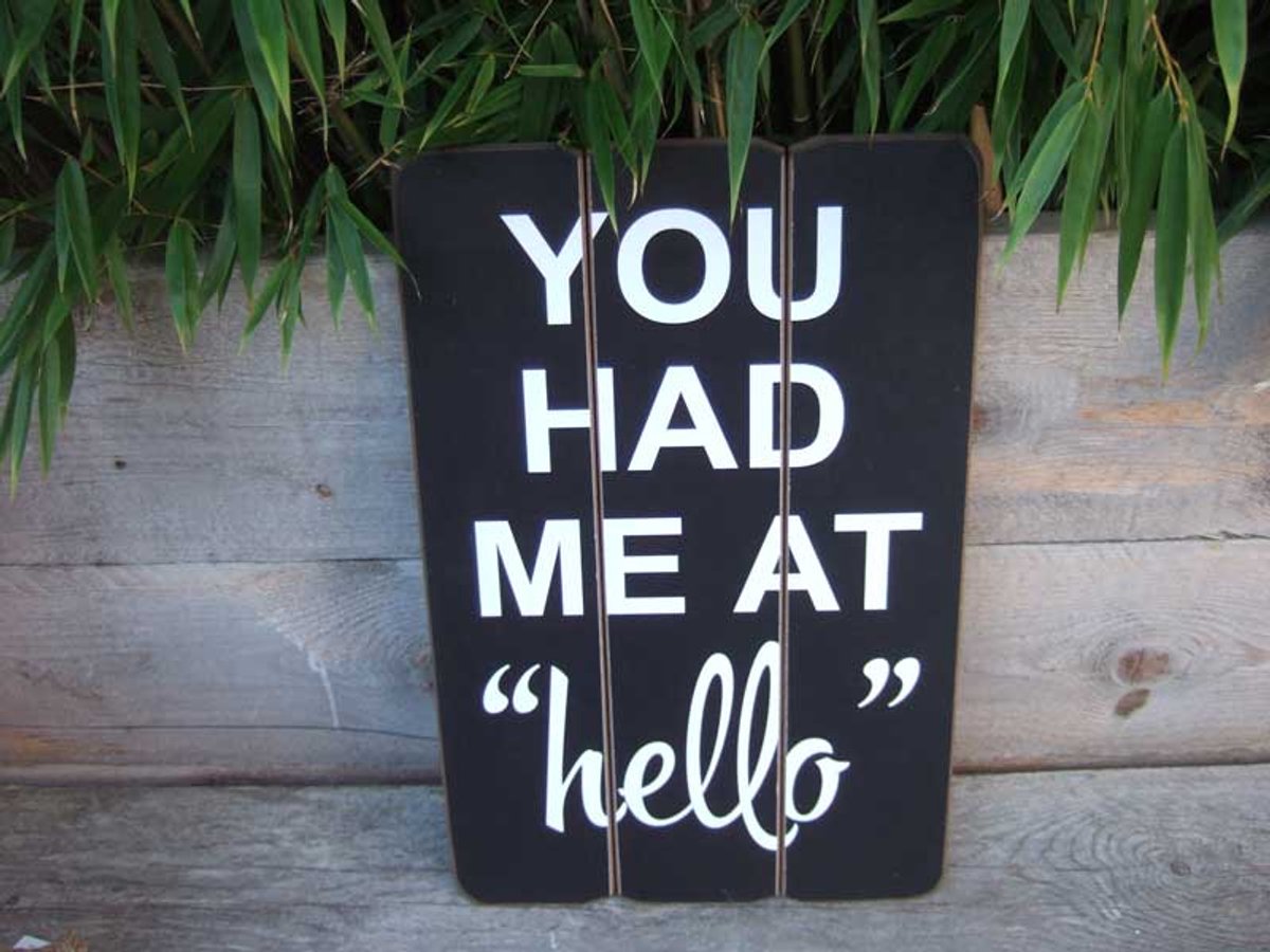 Wandbord You had me at "hello"