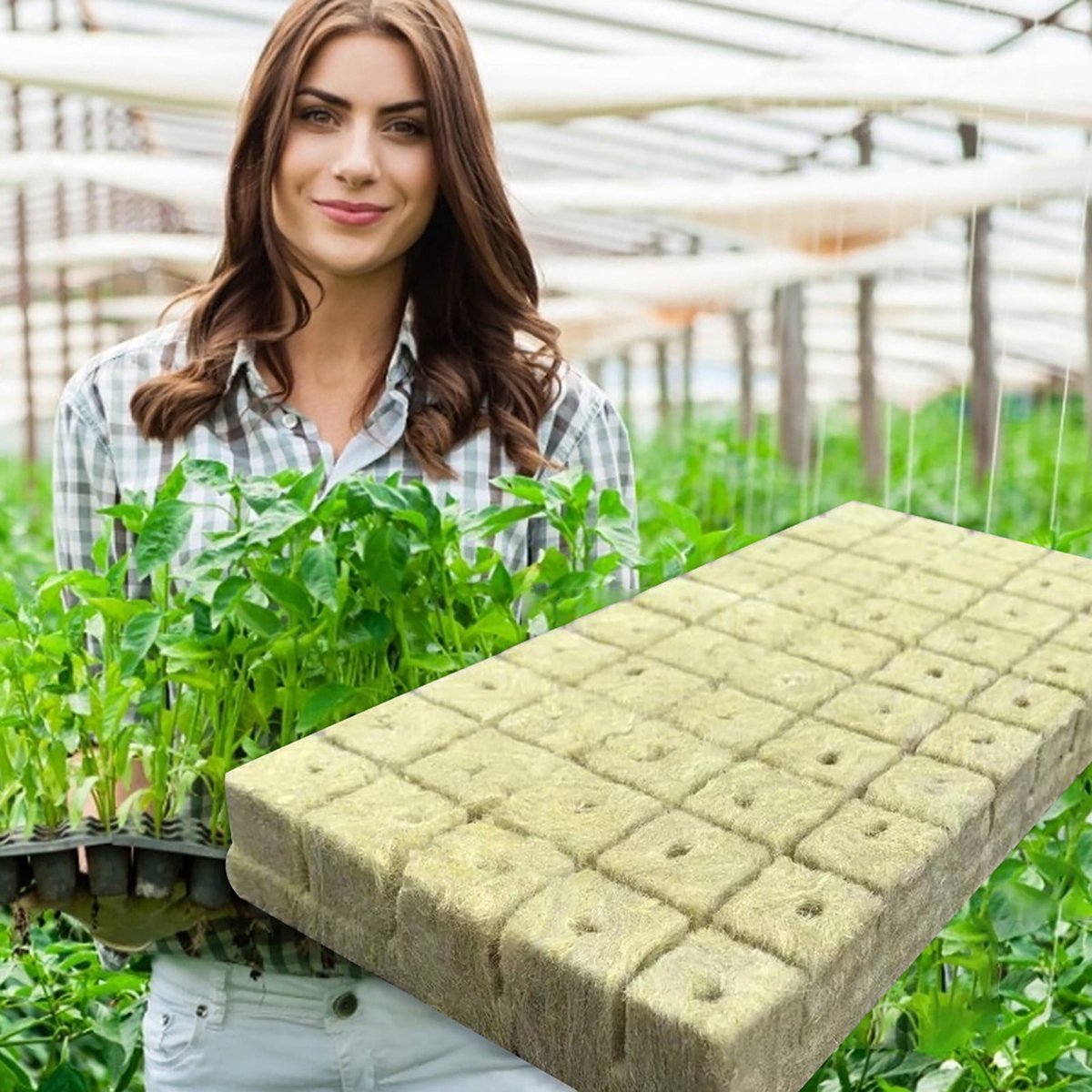 Killogood 50 stuks Rockwool Kubusjes – 2.5*2.5*2.5cm Steenwol Startkubussen voor Hydrocultuur & Bodemloze Teelt – Zaai- en Wortelstartblokjes voor Groenten - Kruiden en Planten
