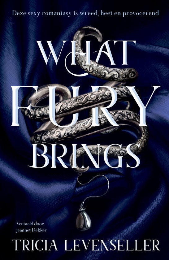 What fury brings - cover