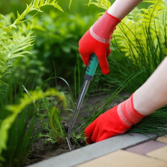 Tuin onkruidstekers - Onkruidverwijderaars - Onkruid wieden - Dubbele tand-sets - 38 x 18 x 7 cm - Groen van Merkloos	 — afbeelding 3