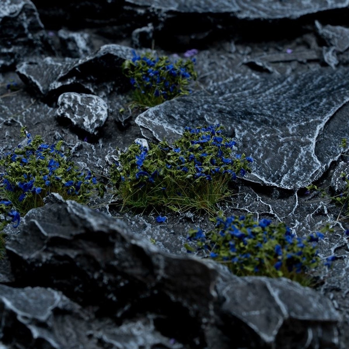 Blue Flowers Wild