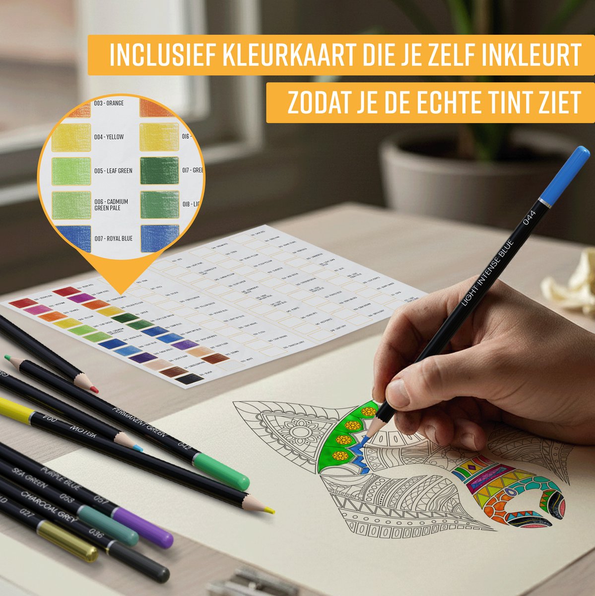 NAPI 72 Kleurpotloden Incl. Video Cursus - Professionele Set - Potloden op Oliebasis - Tekenset voor Volwassenen en Kinderen — afbeelding 6