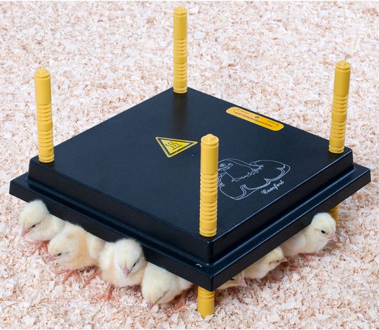 Zwarte Olba warmteplaat 30x30cm met 4 gele steunpootjes, met 6 kuikens eronder.
