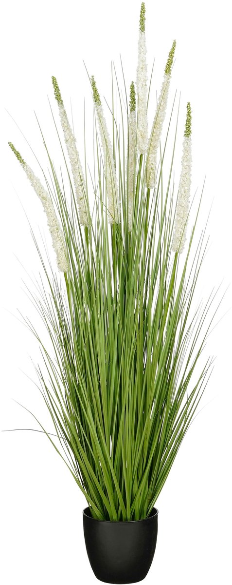 Mica Decorations Eremurus – Kunstgras in Pot – Realistische Nepplant Woondecoratie – Kunstplanten voor Binnen en Buiten – H140 x Ø45 cm – Groen, Wit