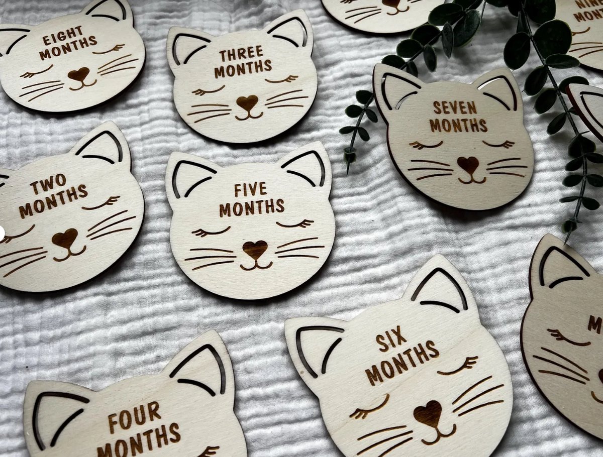 Kat Houten Baby Mijlpaalschijfjes – Maandelijkse Fotoprops | Baby Mijlpaalkaarten | Newborn Foto Accessoire | Kraamcadeau | Babyshower Cadeau