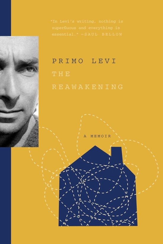 The Reawakening - cover