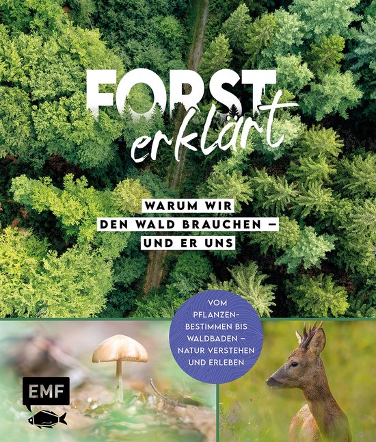 Forst erklärt: Warum wir den Wald brauchen – und er uns - cover