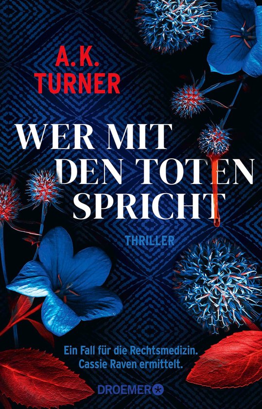 Raven & Flyte ermitteln 2 - Wer mit den Toten spricht - cover