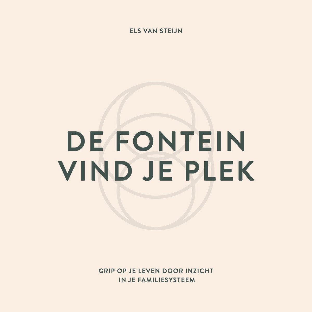 Omslag van De fontein, vind je plek