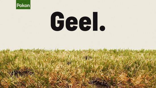 Pokon Gazon Revolutie 4kg - Gazonmest - Graszaad - Bodemverbeteraar - Voor 80m² - Resultaat Binnen 15 Dagen