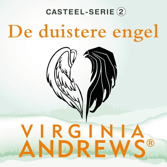 De duistere engel - cover