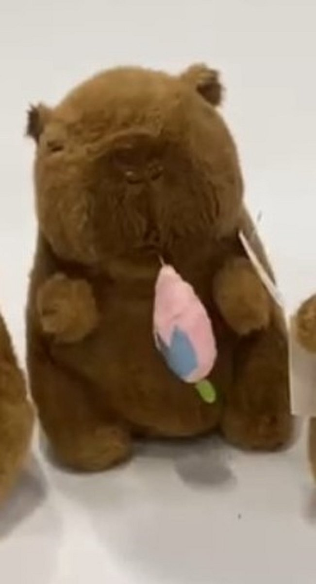 Klikkopers® - Capybara Knuffel 20 cm – Zachte Capibara Pluche Knuffeldier – Schattig Speelgoed Cadeau voor Kinderen en Baby
