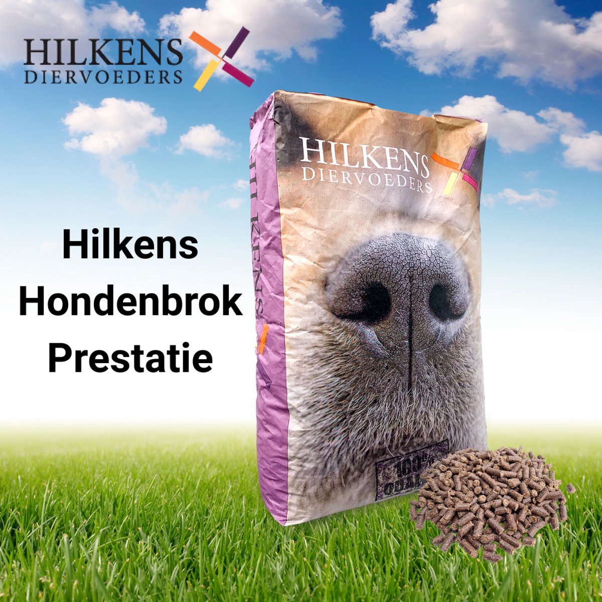 Hilkens Hilkens Hondenbrokken Prestatie 20 Kg