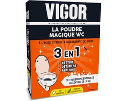 Vigor | Magic Powder WC | 3-in-1: Diepreiniging, ontkalking en geur | Actief schuim | Formule met citroenzuur en zuiveringszout | Eucalyptusgeur | 3 x 100 g