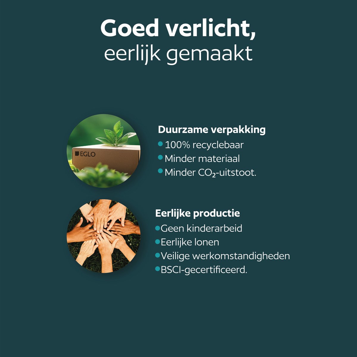 Eglo Castelnuovo Padverlichting Buiten - GU10 - 50 cm - Zwart/Helder