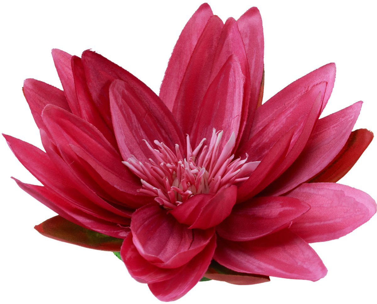 Drijvende waterlelie kunstmatige tafeldecoratie fuchsia Ø15cm 2 stuks,