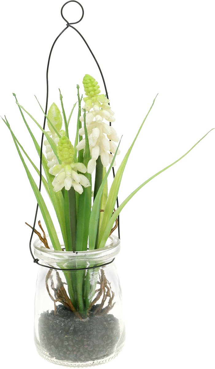 Viana Druivenhyacint wit in een glas om op te hangen H22cm