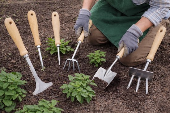 Tuin Tool Set 4 Stuks – Ideaal voor Onderhoud, Planten en Onkruid Verwijderen — afbeelding 3