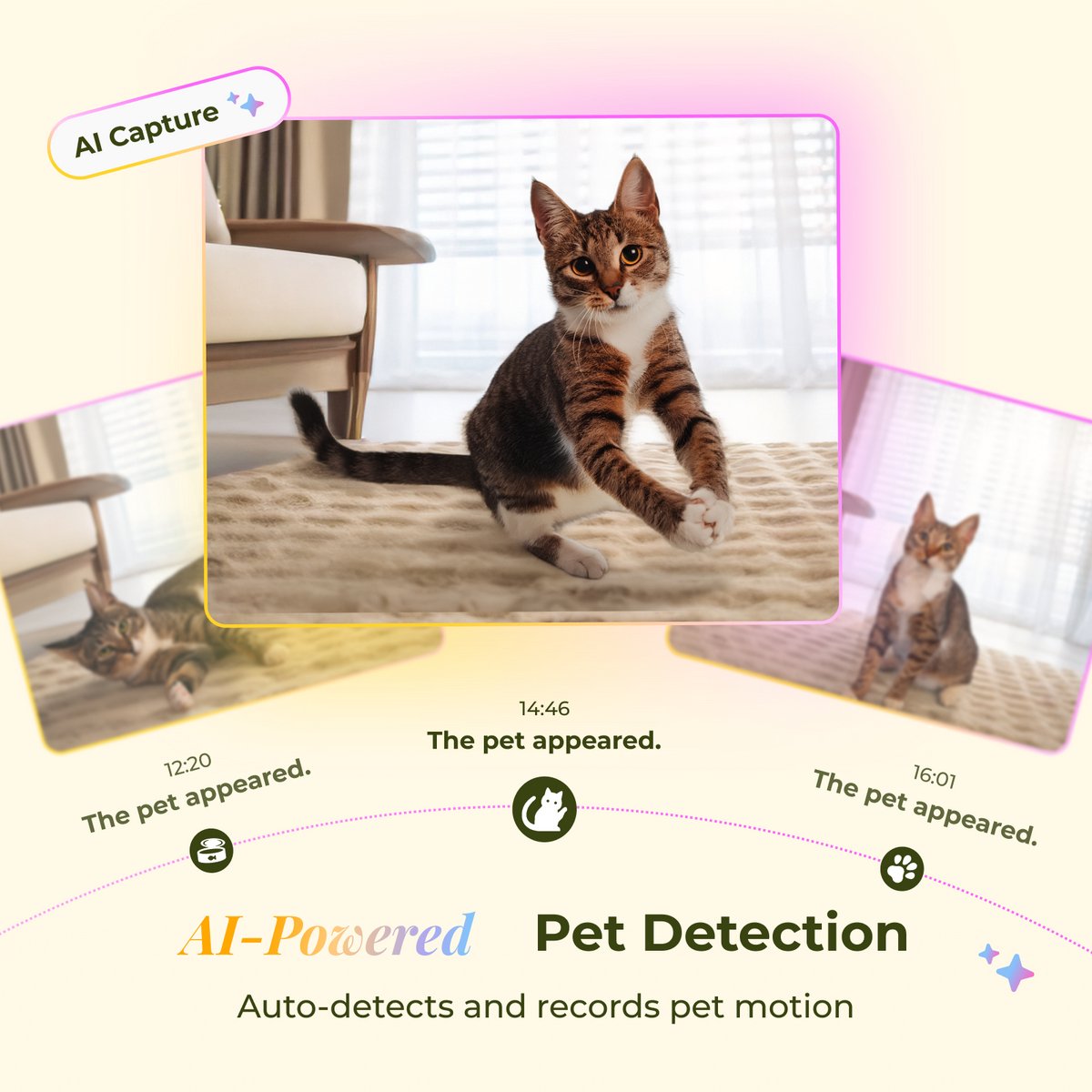 Arenti Petfeeder2 64GB Automatische Voerbak 4L Met Beweegbare Camera - 3MP (2K) Met Night Vision thumbnail 3