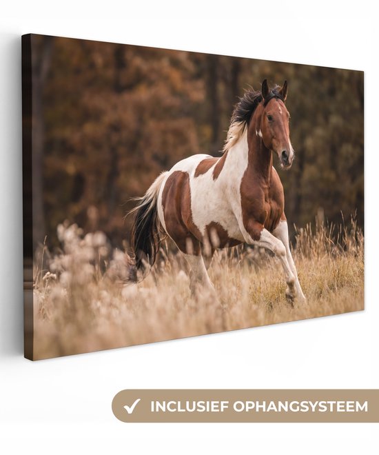 Bruin met witte vlekken paard galoppeert door bruin gras. Inclusief ophangsysteem.