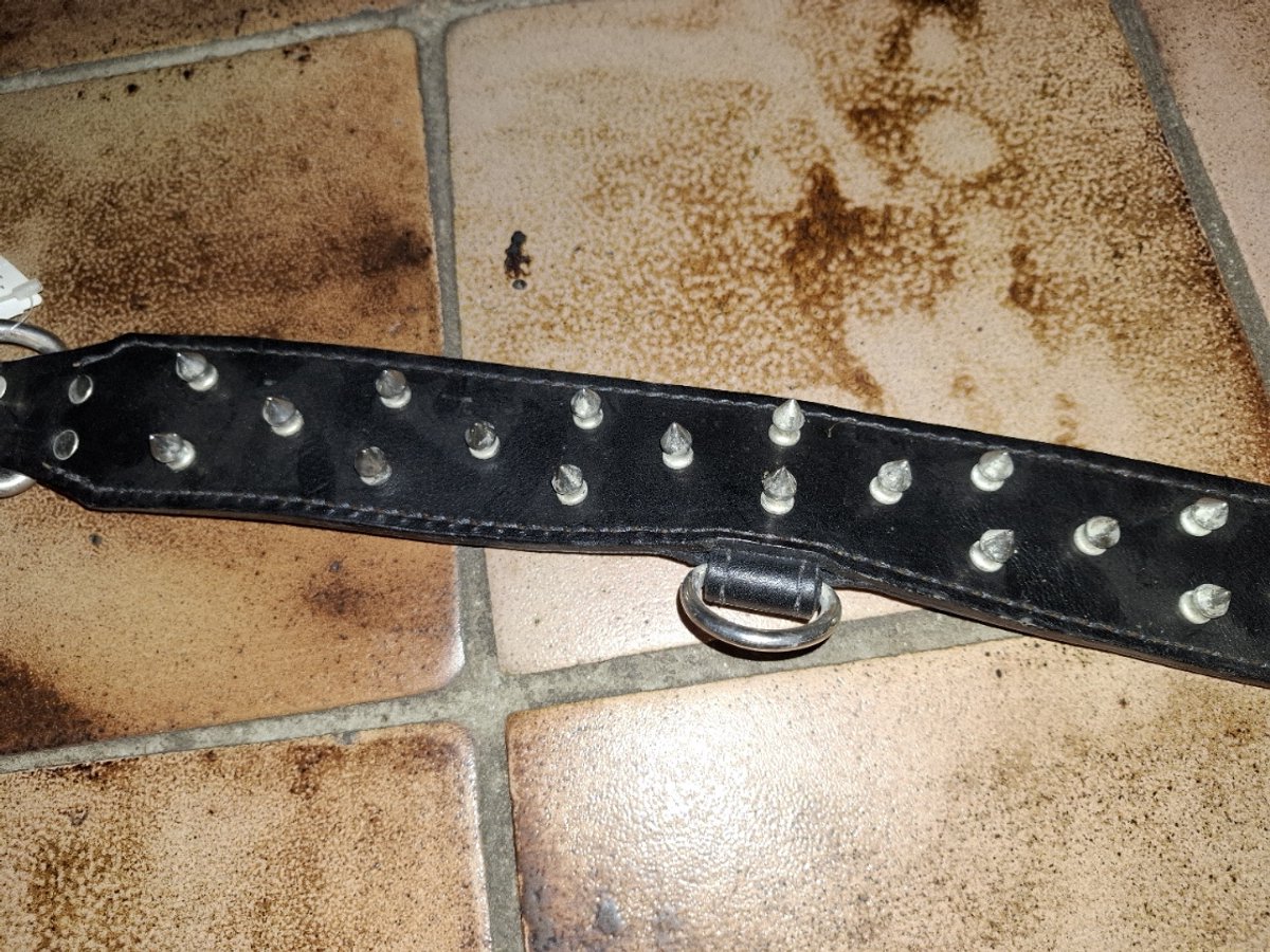 Hamilton leren hondenriem spike zwart 67 cm