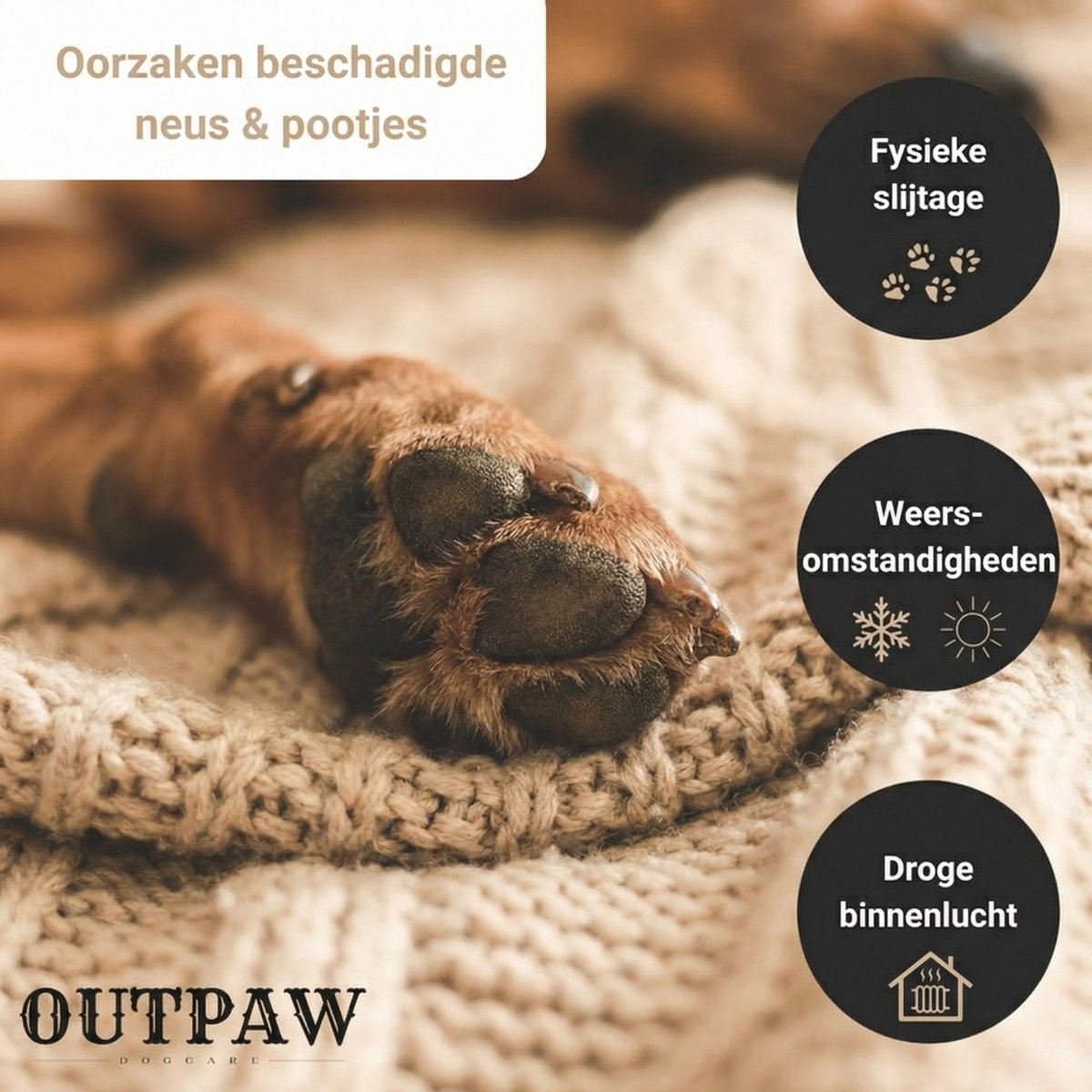 ReaVET Potenbalsem voor Honden en Katten (120ml ReaVET Potenbalsem voor Honden en Katten (120ml