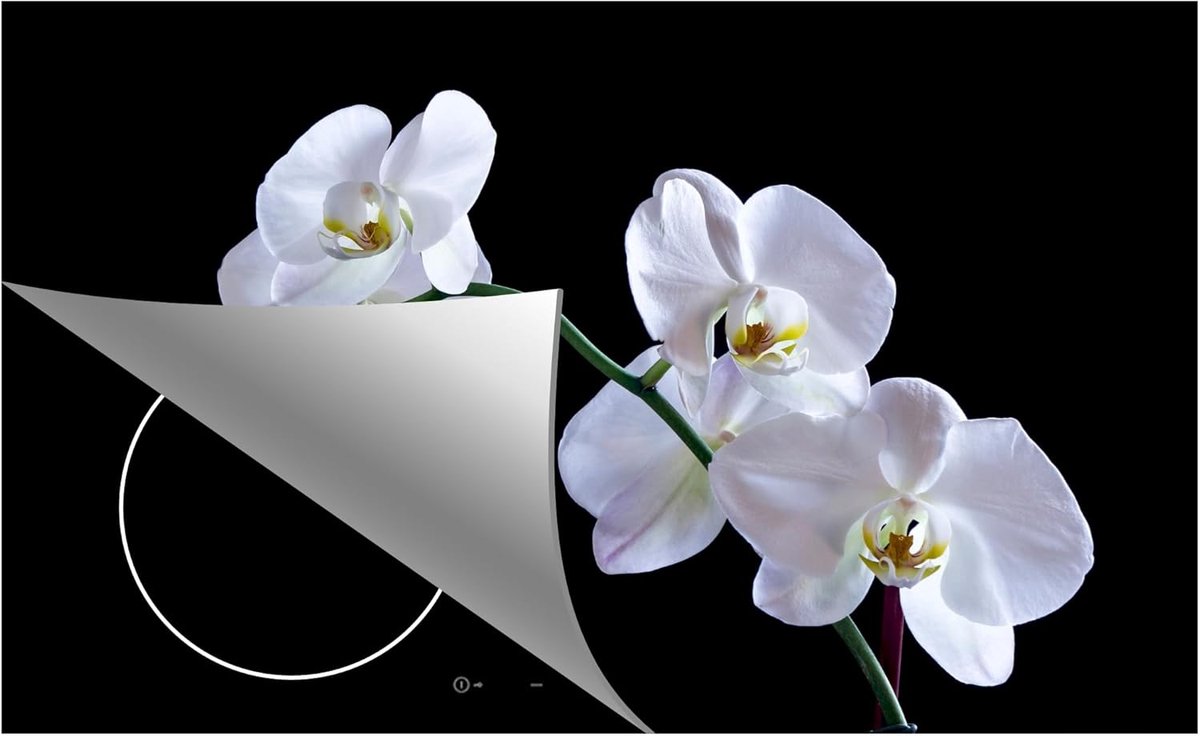 Inductie beschermer - Kookplaat mat - Keuken decoratie - Waterafstotend materiaal - 83x52 cm - Orchidee print