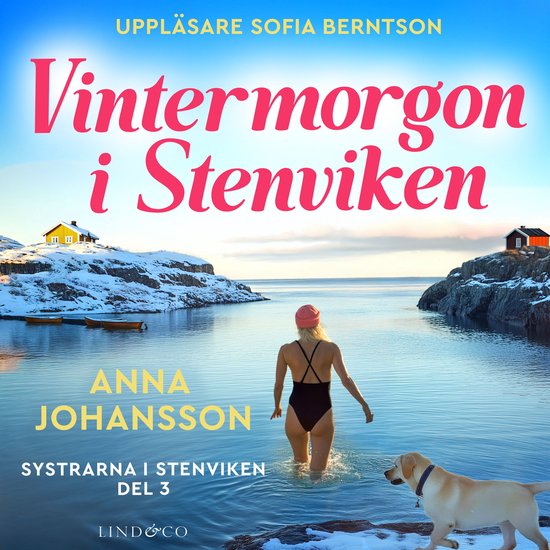 Vintermorgon i Stenviken - cover