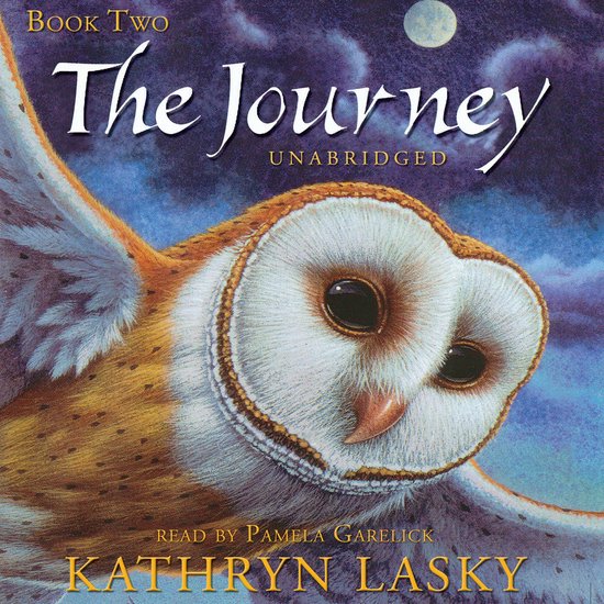 The Journey - cover