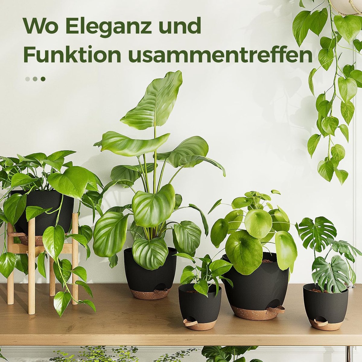 Zelfwaterende Bloempotten Set van 6 | Zwarte Plantenpotten met Schotel | 12,7–20,3 cm | Voor Kamerplanten, Stekken en Vensterbank Decoratie — cadeau in Wonen & Interieur - foto 3