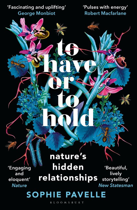 To Have or To Hold - cover