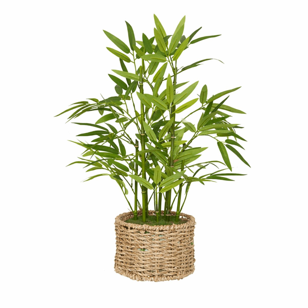 Kunstplant Bamboe – 46 cm Hoog – Onderhoudsvrije Nepplant met Natuurlijke Gevlochten Pot – Decoratieve Kunstplant voor Woonkamer, Balkon, Terras & Kantoor – Groen